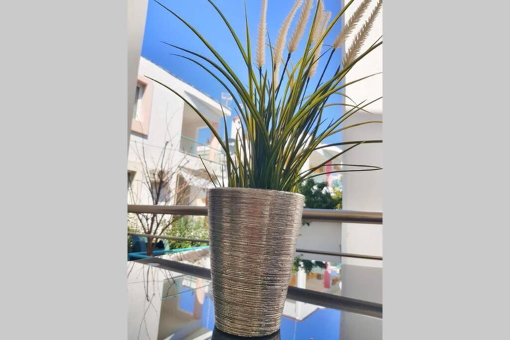 Polychrono New 2 Bedroom Apt. Just By The Sea! מראה חיצוני תמונה